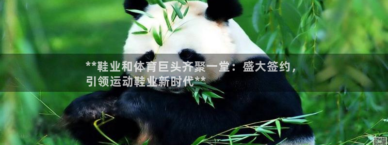 星欧娱乐是正规平台吗知乎推荐