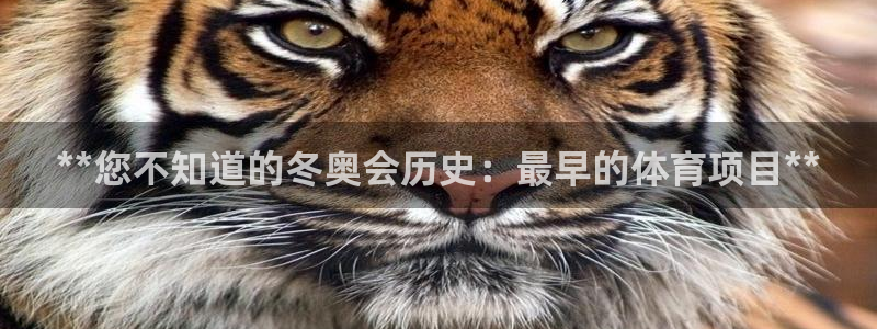 星奥娱乐集团股份有限公司