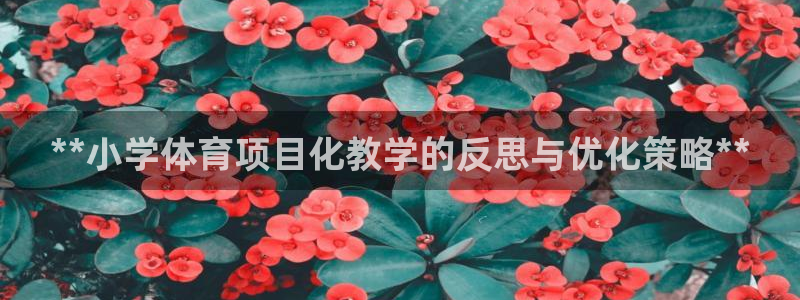 星欧娱乐最建议买的三个产品有哪些