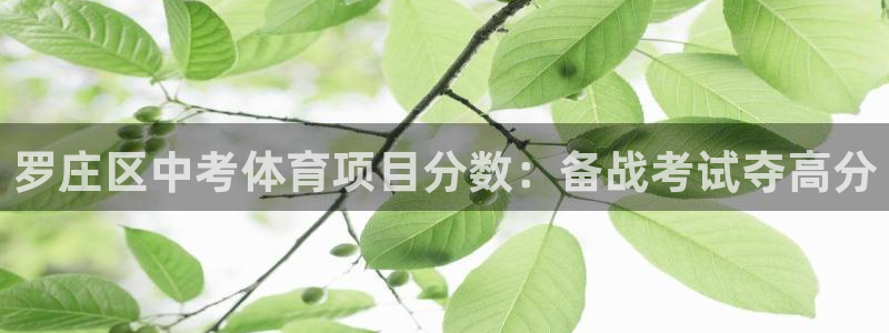 星澳娱乐公司简介