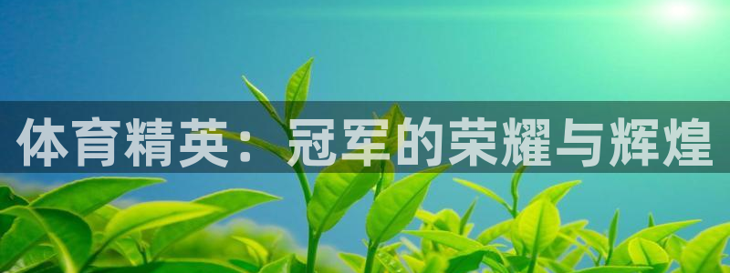 江苏星奥娱乐