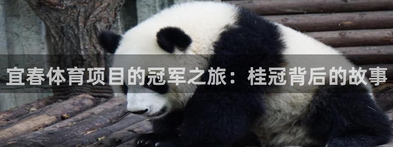 星娱乐是谁的公司