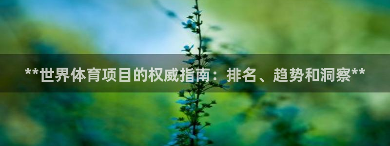 星欧娱乐最建议买的三个产品有哪些呢
