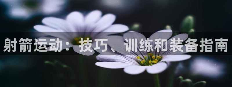星欧娱乐扣款时间查询方法是什么样的