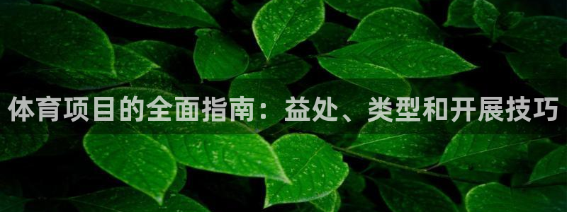 星欧娱乐的创始人背景故事简介