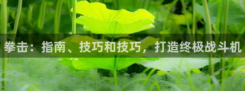 星欧娱乐官方客服联系方式是什么