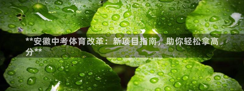 星欧娱乐属于什么档次的公司