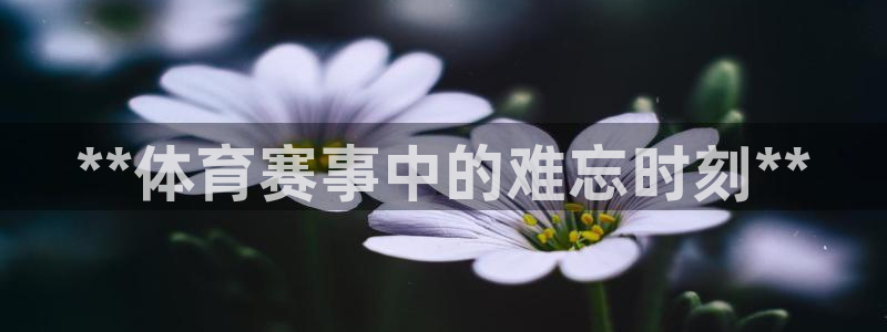 星欧娱乐公司地址