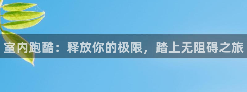 星欧娱乐公司简介
