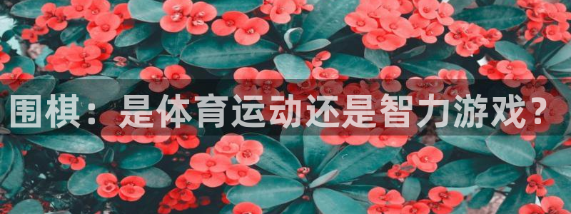 星欧娱乐是正规平台吗知乎推荐