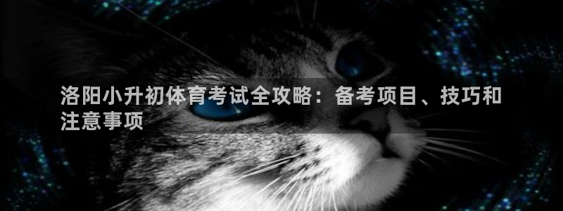 星欧娱乐扣款流程详解图片大全