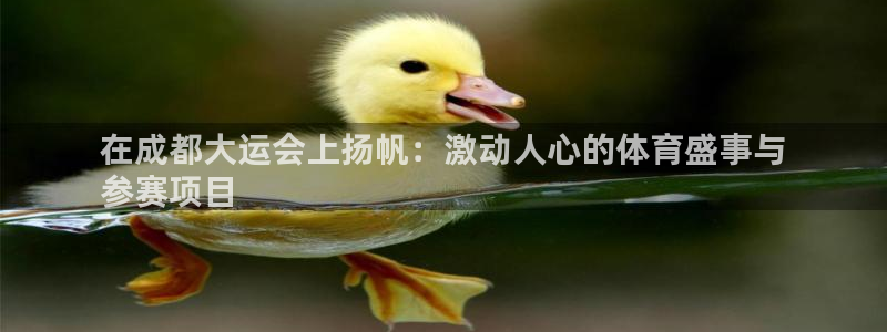星欧娱乐扣款流程详解图高清