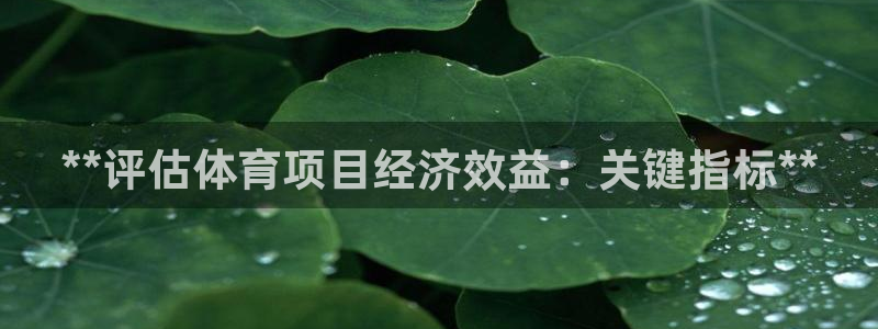 星娱乐online张译