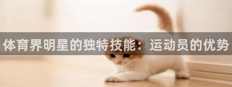 星欧娱乐公司创始人背景故事介绍
