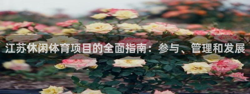 星欧娱乐属于什么档次的公司