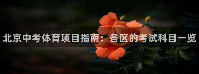 星欧娱乐雀V是什么平台