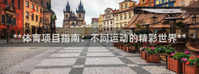 星欧娱乐属于什么档次的软件