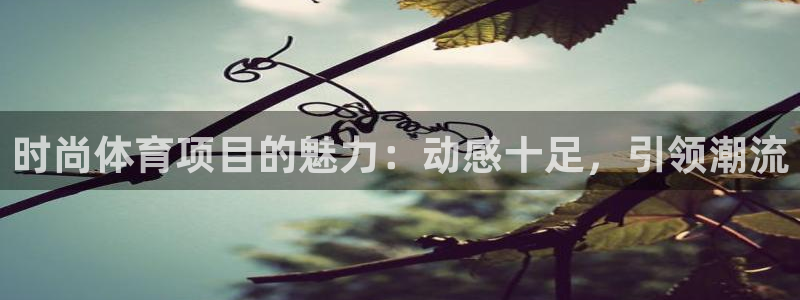 星欧娱乐下载最新版本更新内容