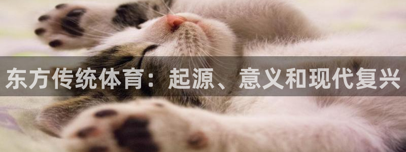 江苏星奥娱乐有限公司