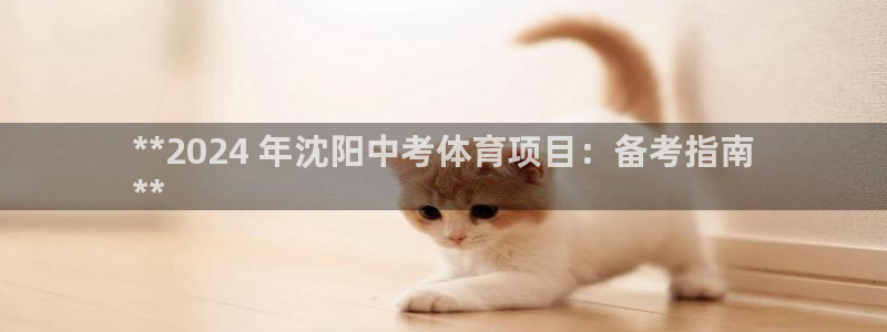 星欧娱乐挂机教程