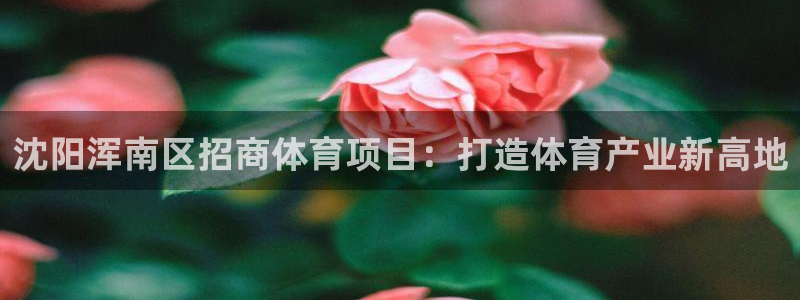 星欧娱乐联和哪个品牌合作