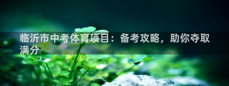 星娱乐是谁的公司