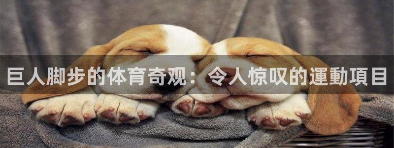 星欧娱乐还能玩吗