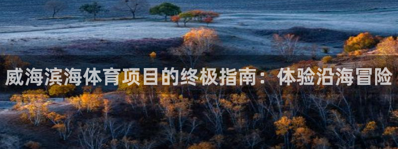 星欧娱乐联游戏评测