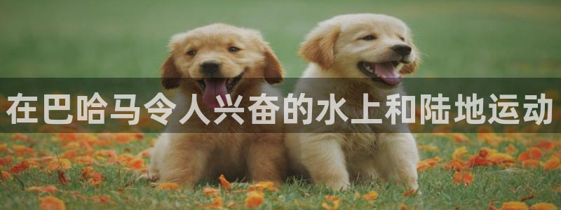 星欧娱乐测速