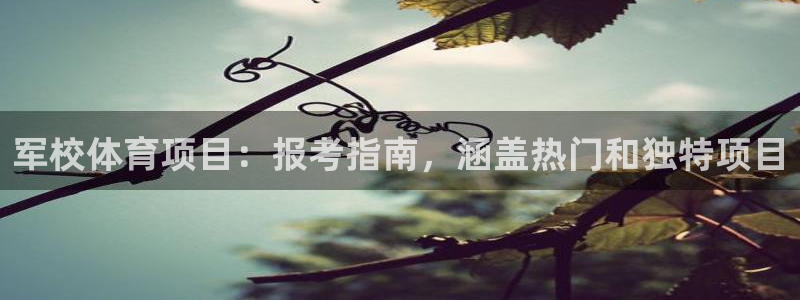 星欧娱乐用户名和密码