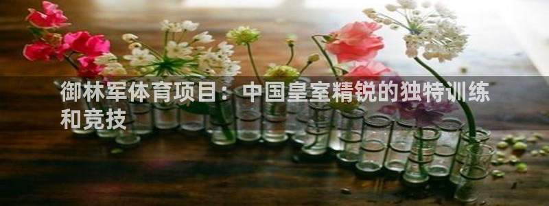 星欧娱乐平台测速线路