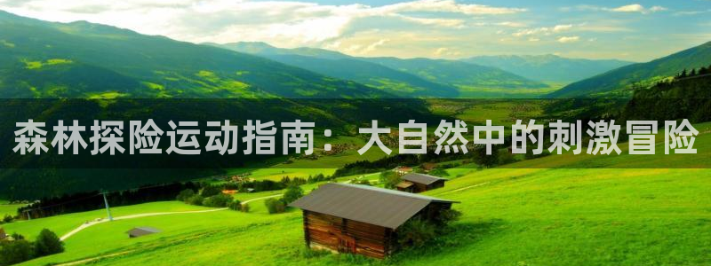 澳星国际娱乐集团