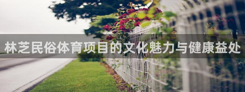 星欧娱乐属于什么档次的公司名称