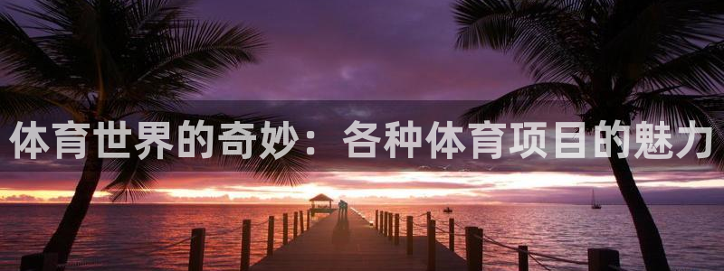 星欧娱乐属于什么档次的公司啊