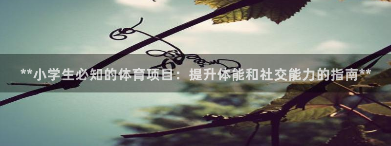星欧娱乐平台怎么样啊知乎