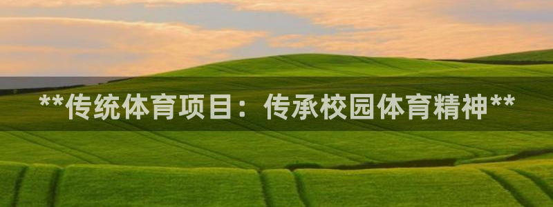 星欧娱乐的官方版本更新内容是什么
