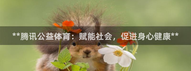 澳星国际娱乐集团