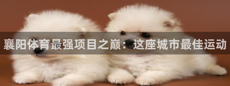 星欧娱乐扣款