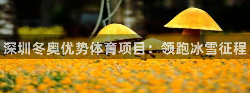 星欧娱乐属于什么档次的公司啊