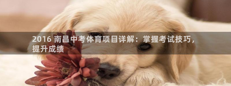 新星娱乐怎么开挂