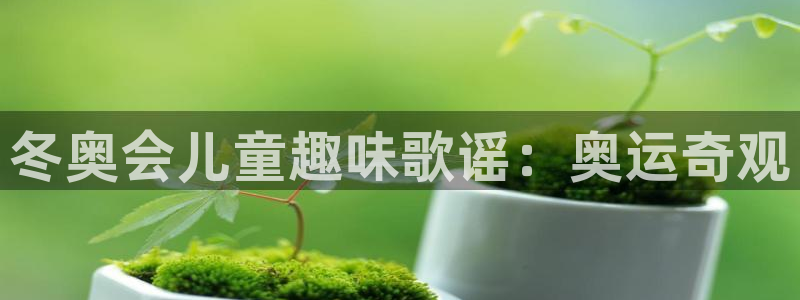 星奥娱乐集团股份有限公司官网