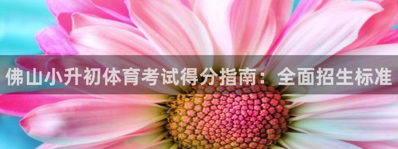 星欧娱乐扣款流程详解图高清