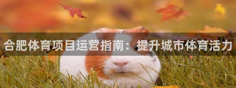 星欧娱乐测速软件下载