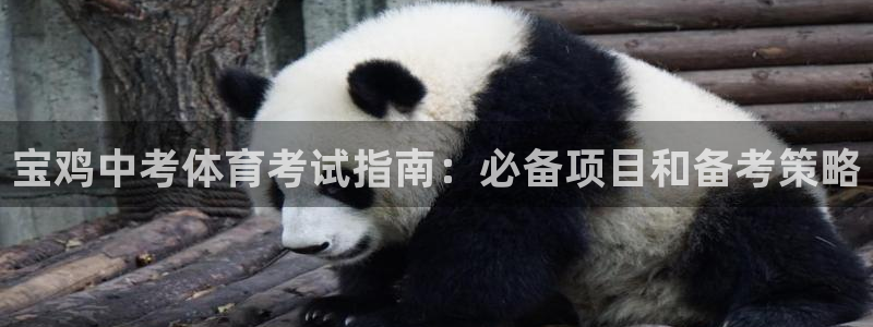 星奥盛典娱乐会所