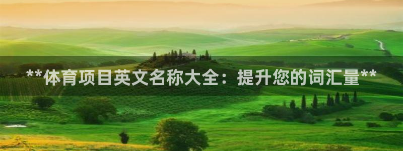 星奥娱乐集团