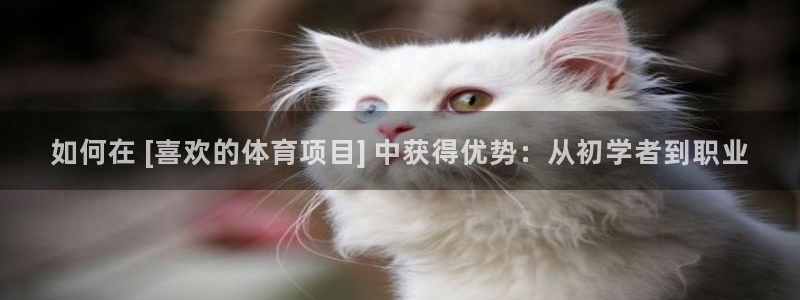 星欧娱乐属于什么档次的软件公司