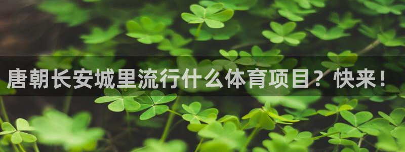 星欧娱乐扣款流程详解视频教程