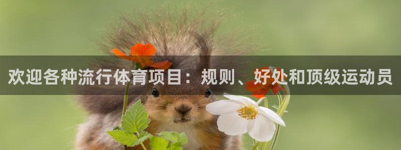 星欧娱乐平台怎么样可靠吗