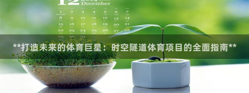 星娱乐文化传媒有限公司