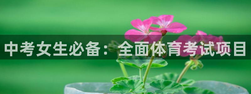 星娱乐online创作的原声胡歌吴磊